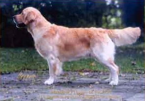 R&uuml;de
