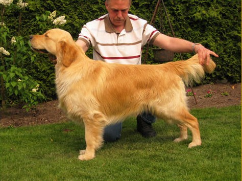 R&uuml;de