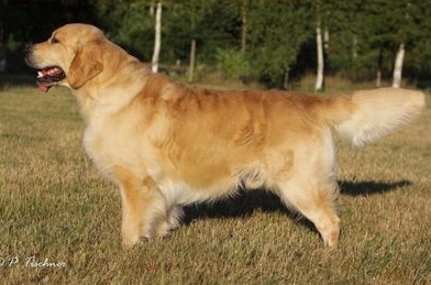 R&uuml;de